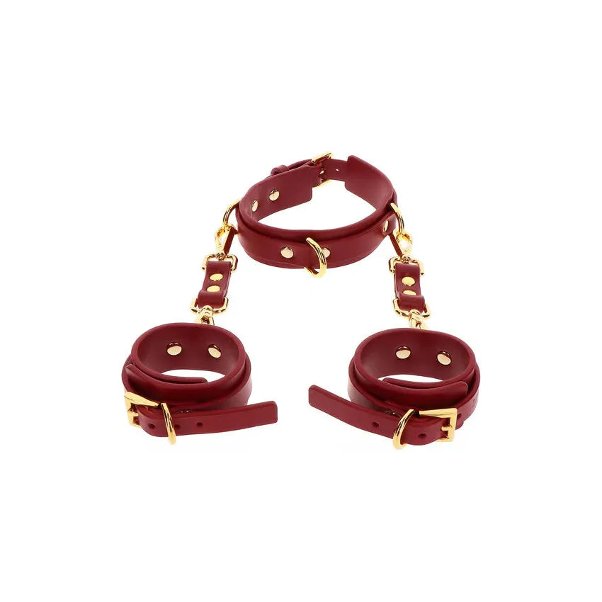 TABOOM D-RING Collar & Cuffs